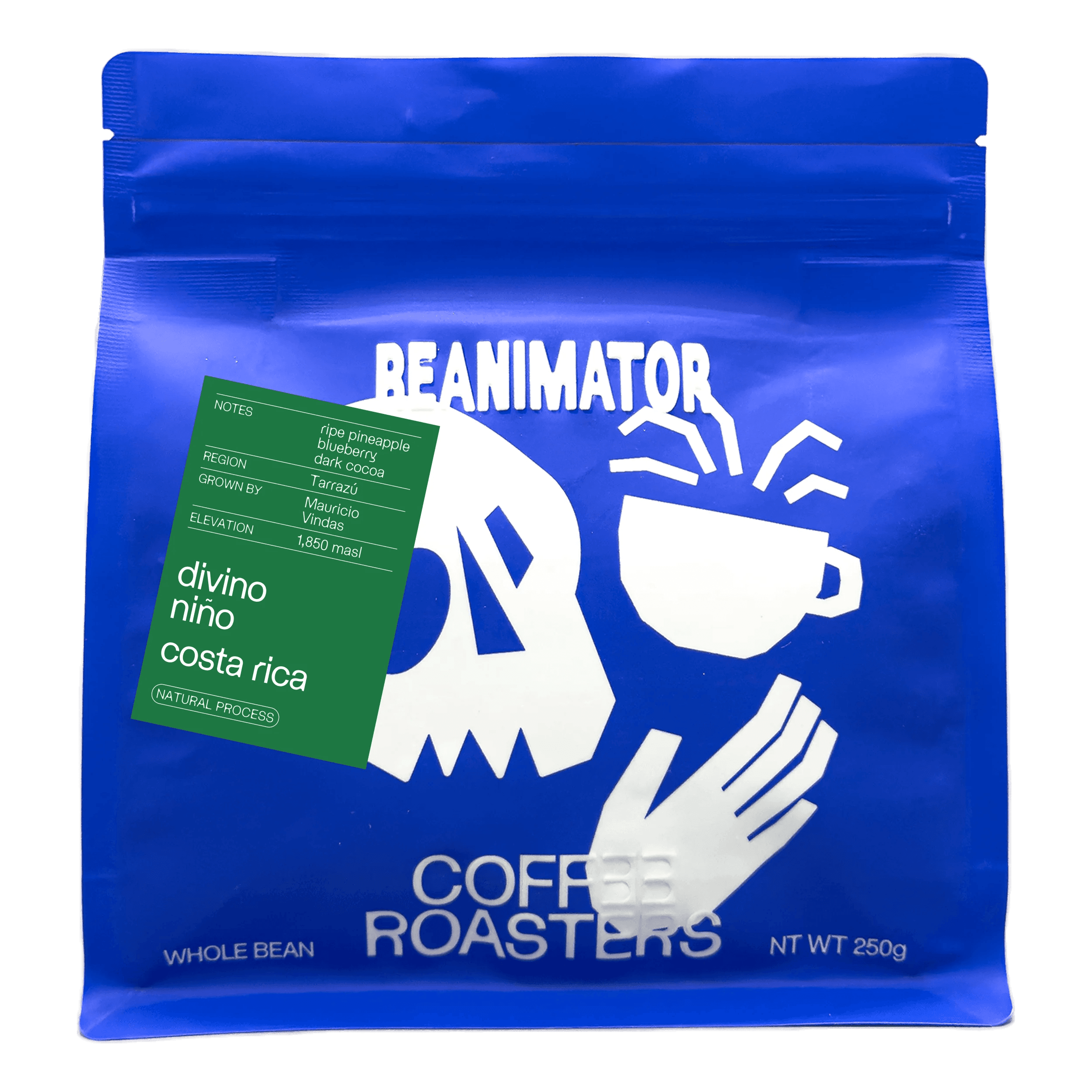 Image of Costa Rica Divino Niño Natural Process