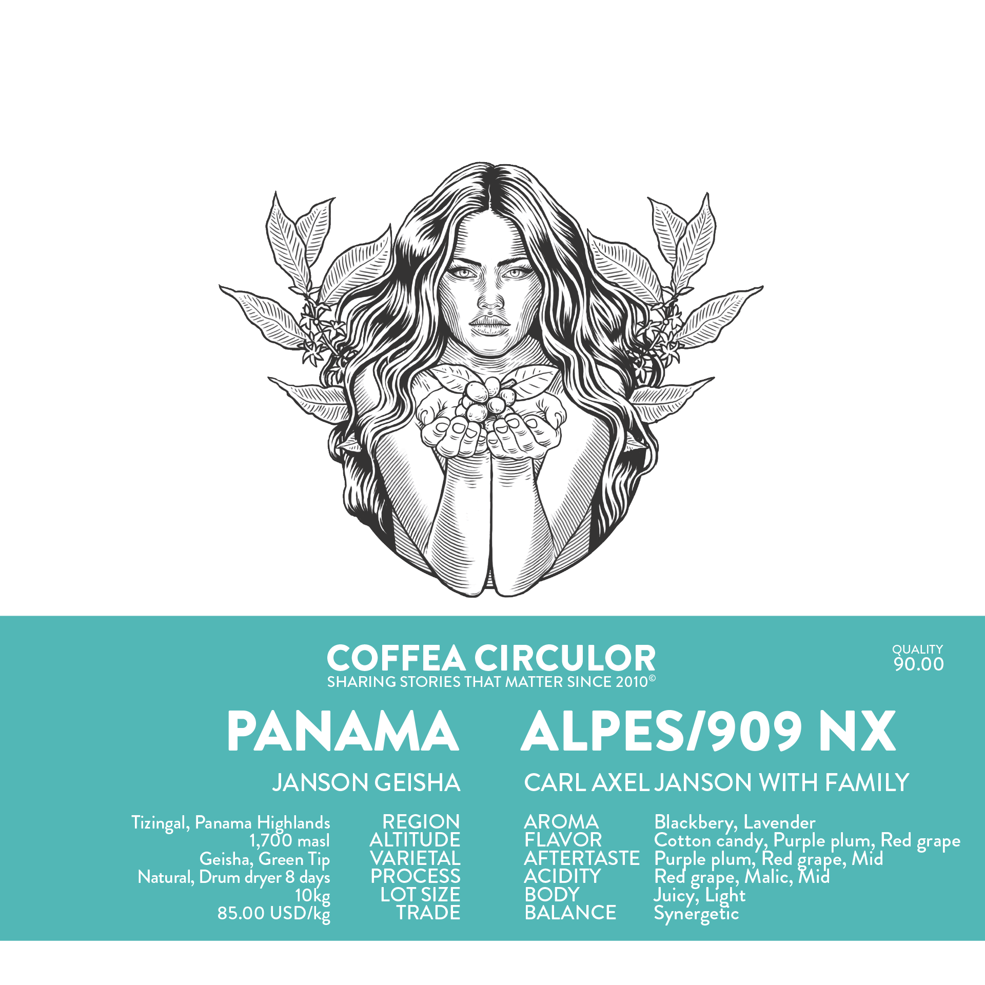 Image of Panama Janson Geisha Alpes 909 Natural NX