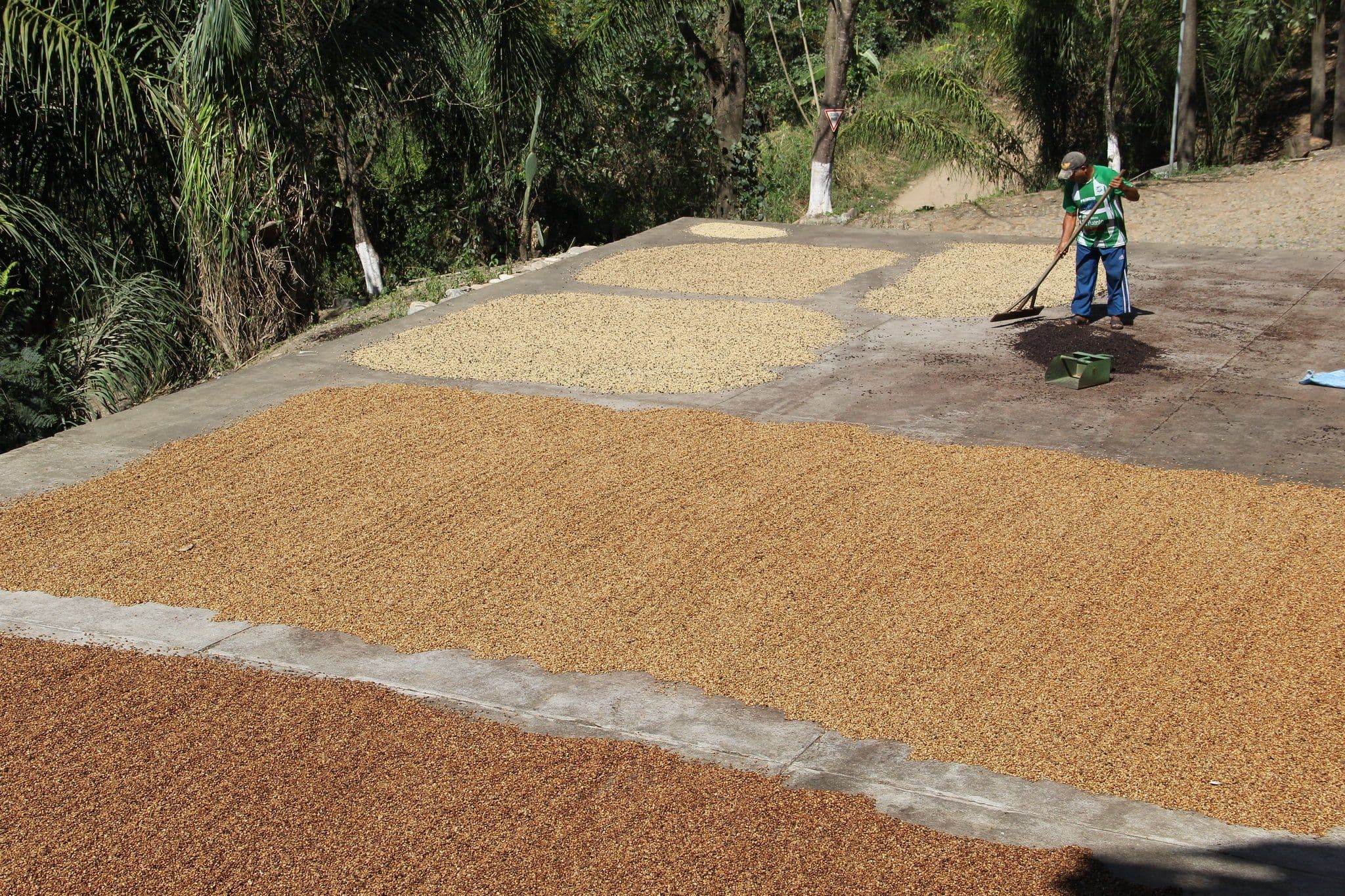 Image of Bolivia Caravani Bio Arabica Fair Trade Organic