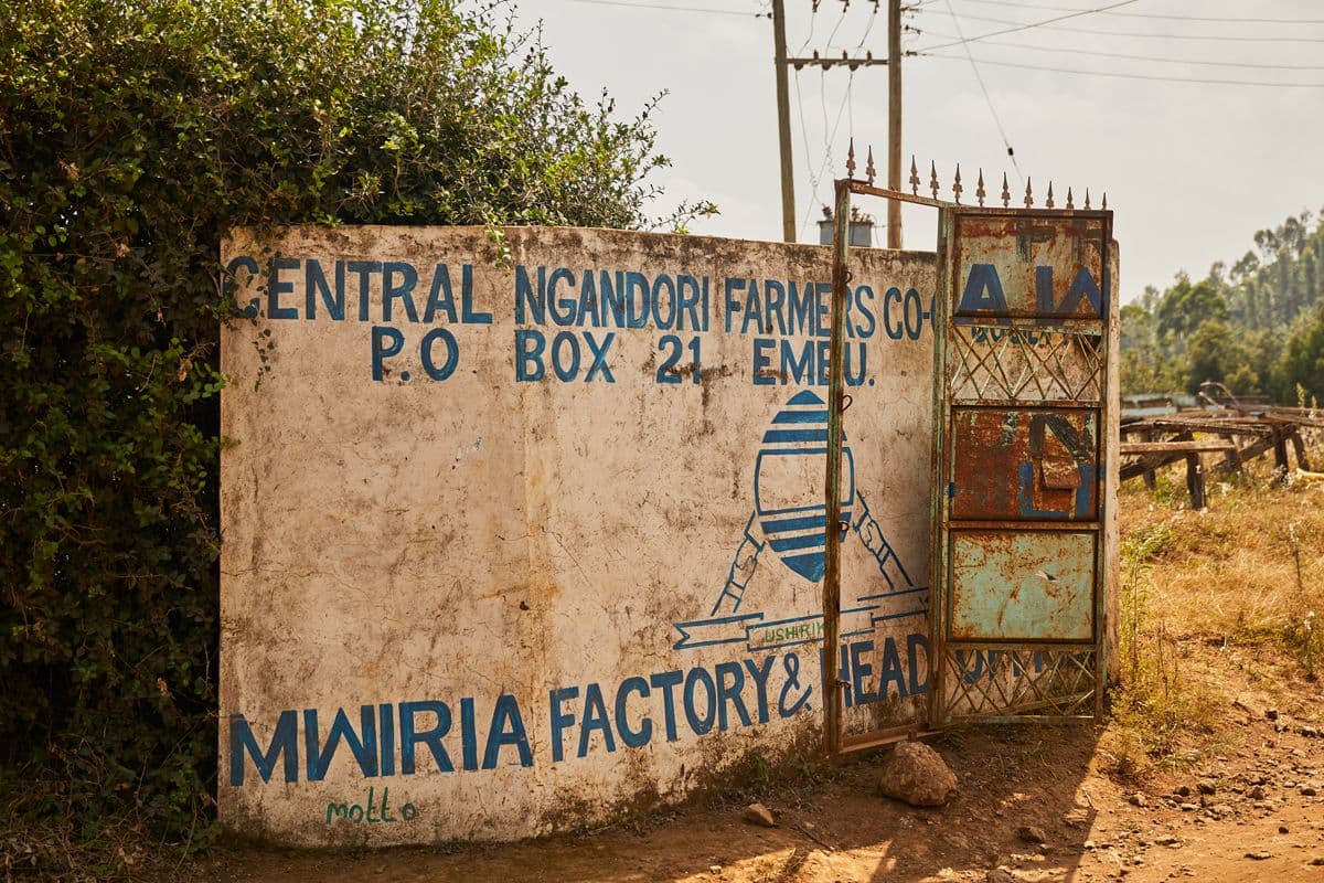 Image of Kenya Mwiria