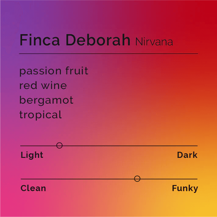 Image of Finca Deborah - Nirvana