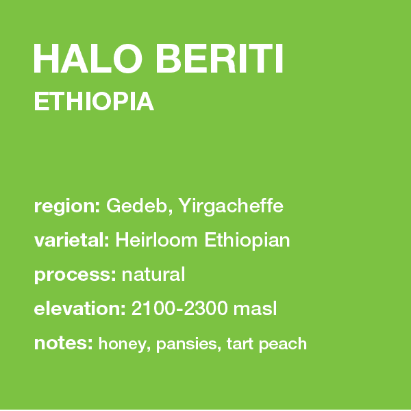 Image of Ethiopia Halo Bereti
