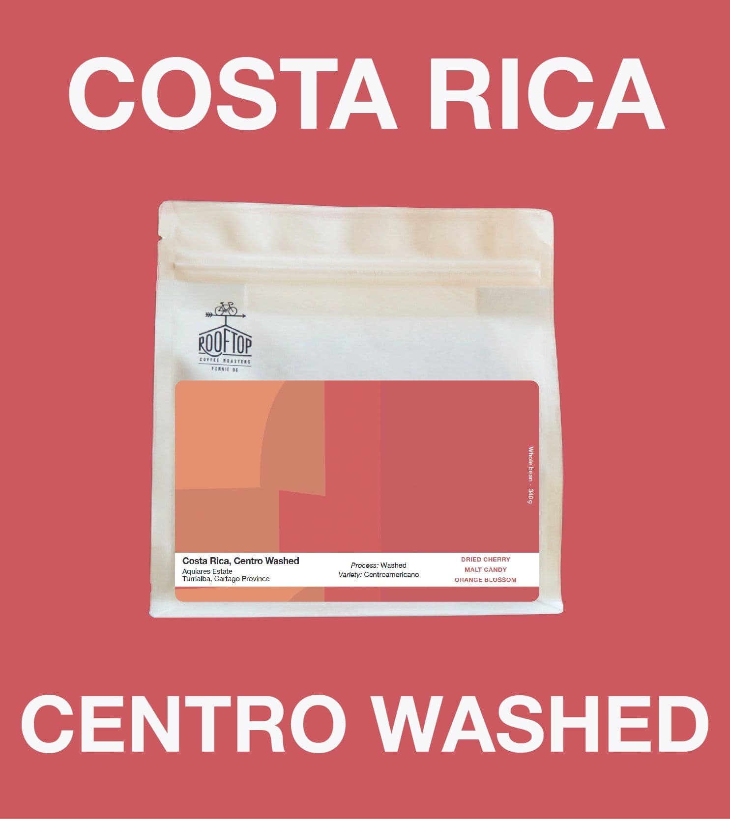 Image of Costa Rica, Centroamericano Washed