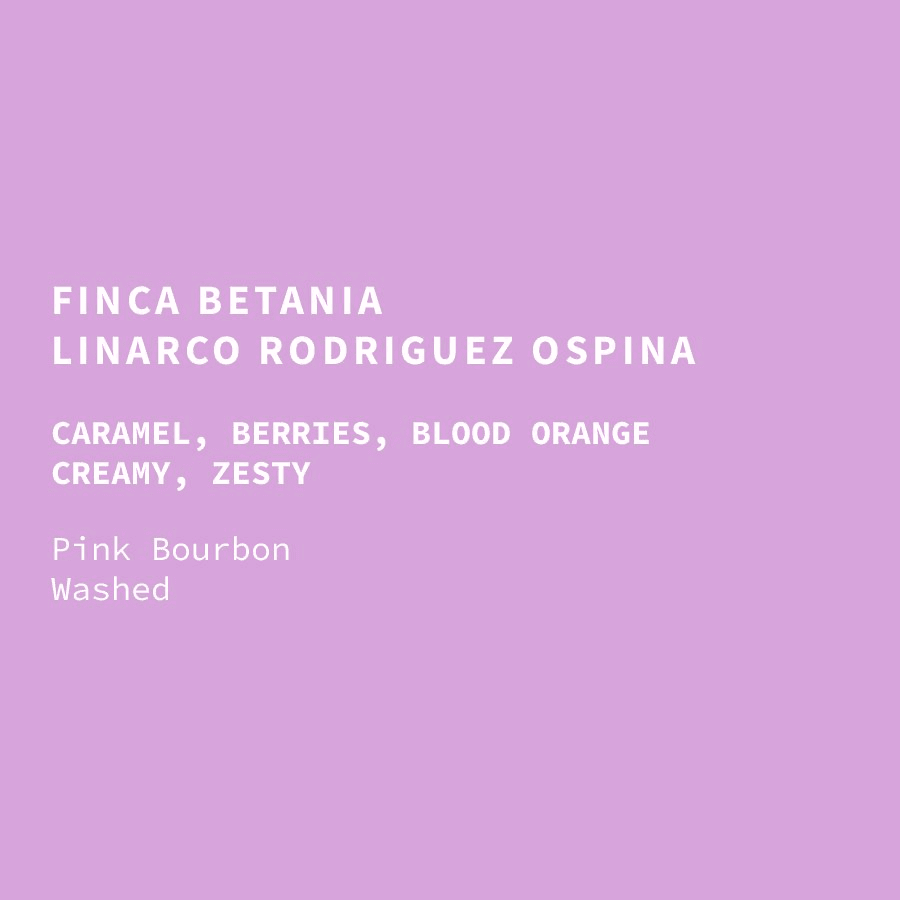 Image of Colombia Finca Betania