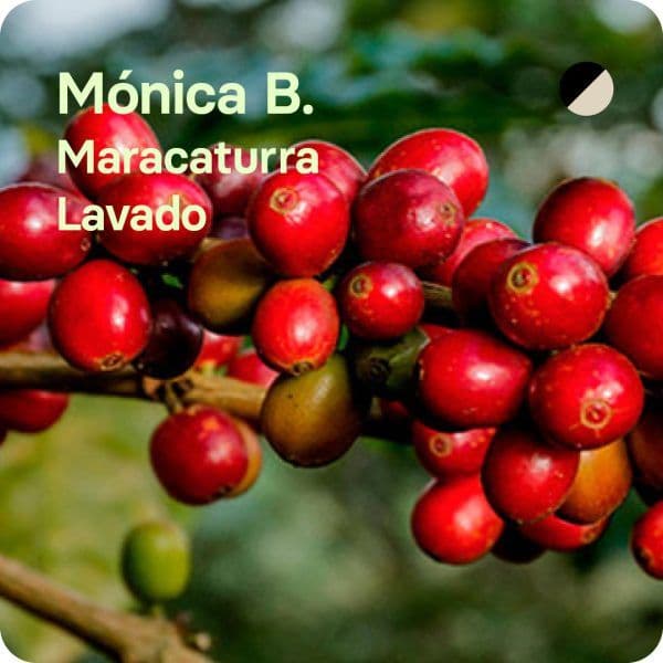 Image of Monica Berdugo Colombia