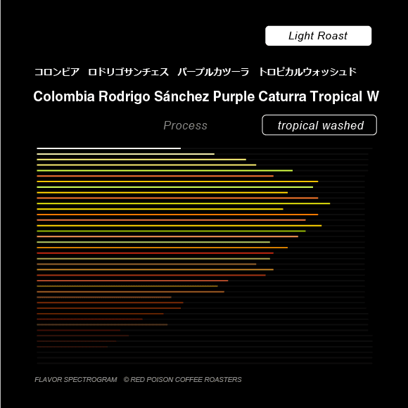 Image of Rodrigo Sanchez Purple Caturra Tropical Washed