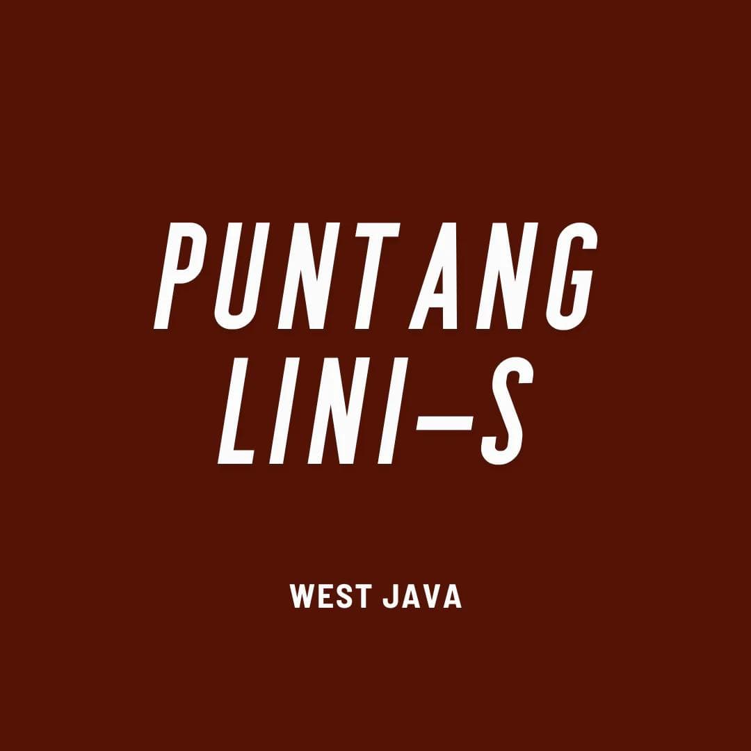 Image of Indonesia Puntang Lini-S