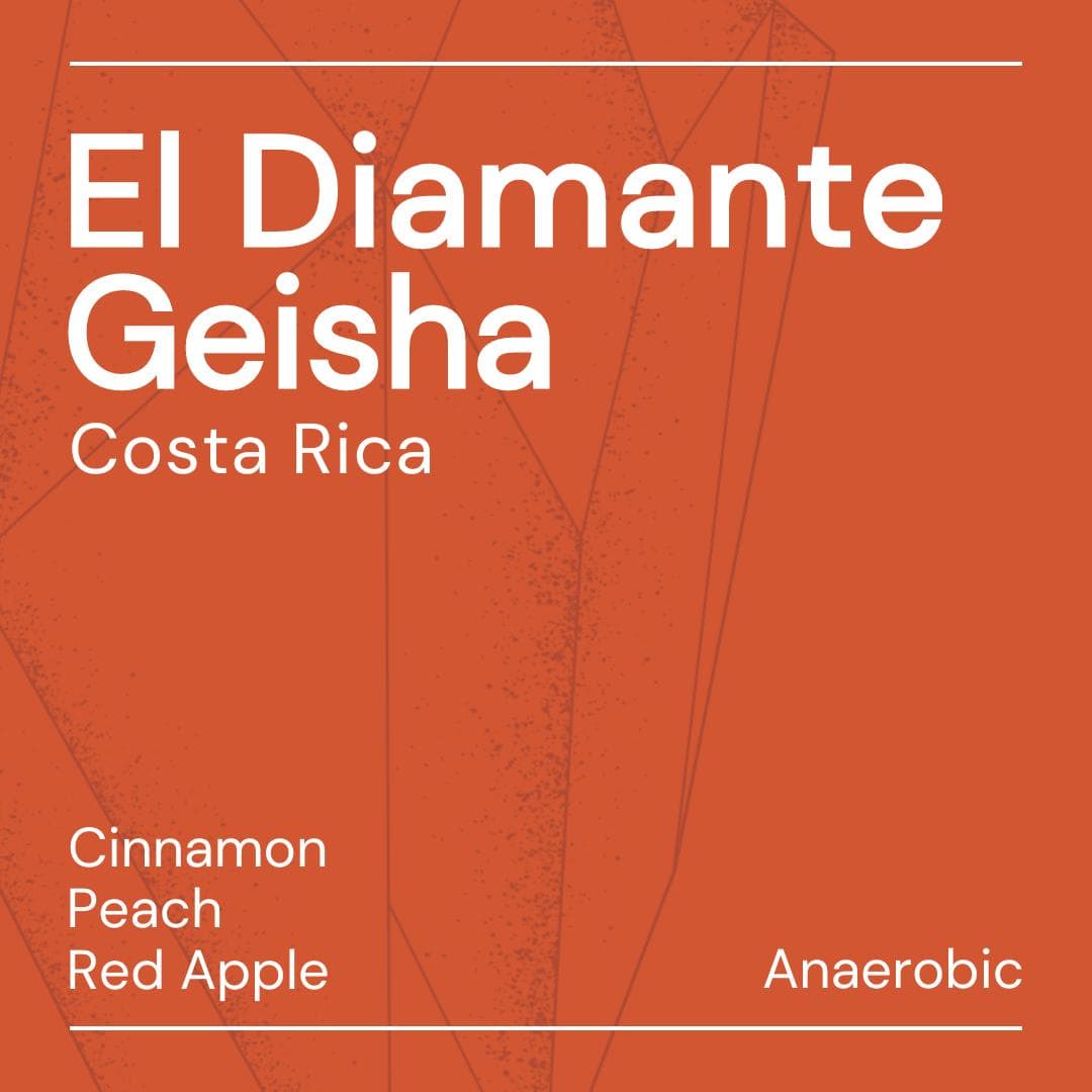 Image of El Diamante Geisha