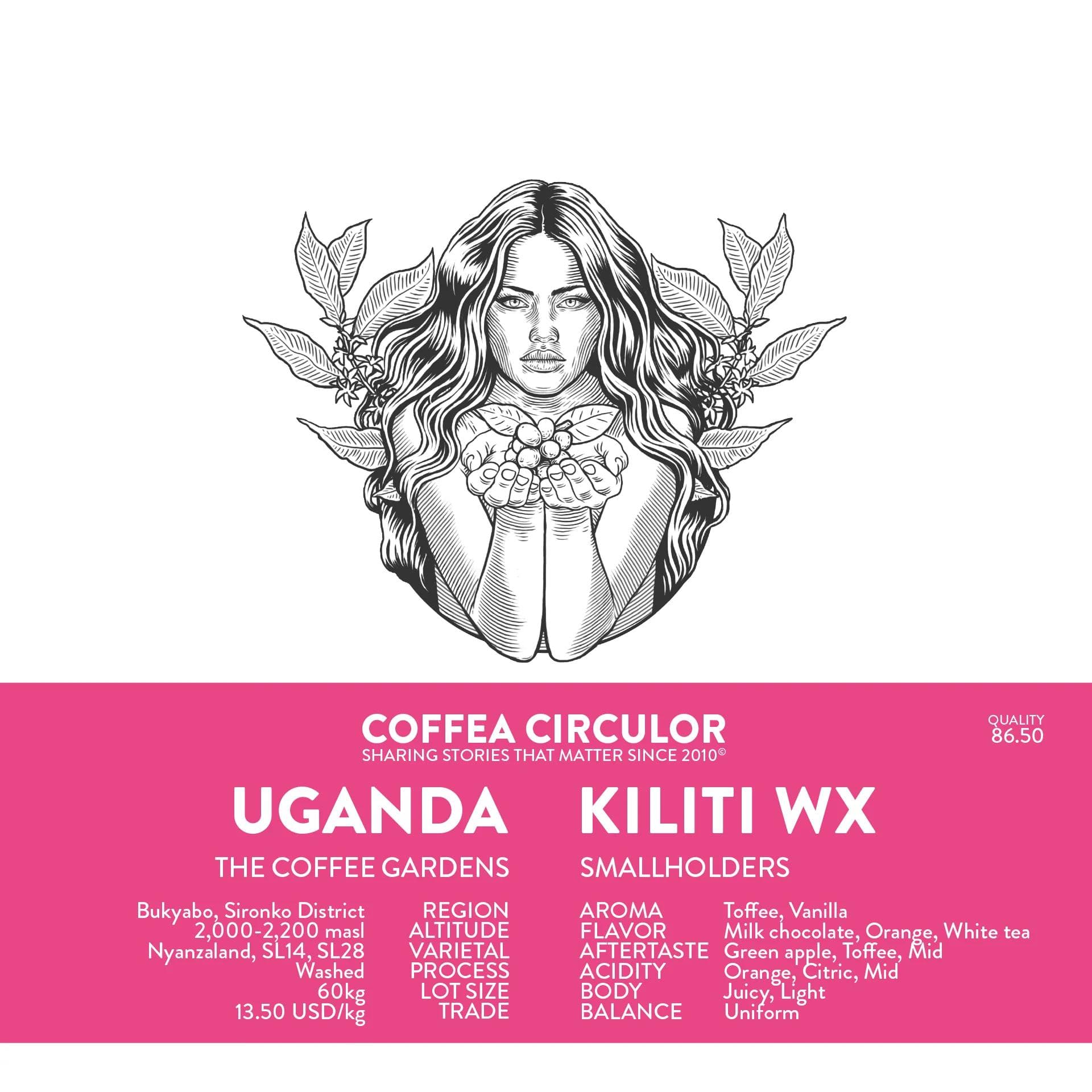 Image of Uganda Kiliti Washed WX