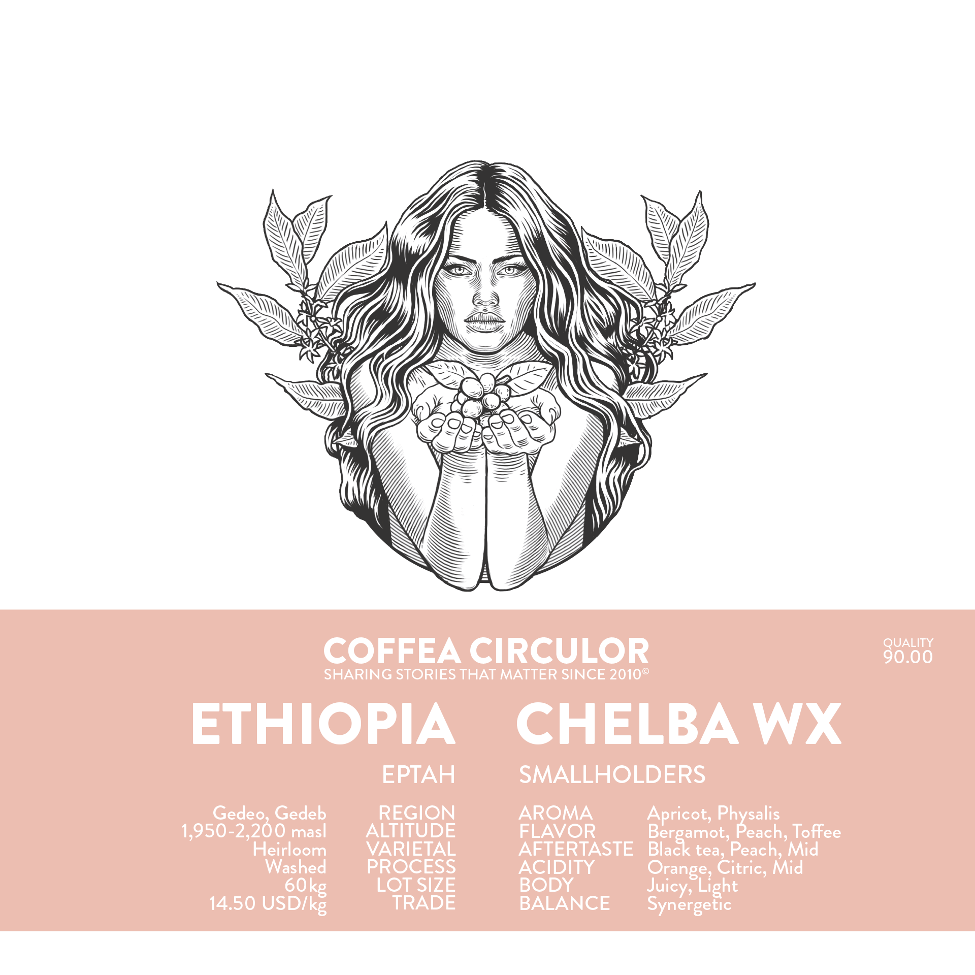 Image of Ethiopia Eptah Chelba Washed WX