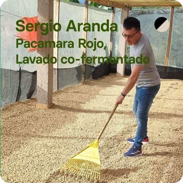 Image of Sergio Aranda - Colombia