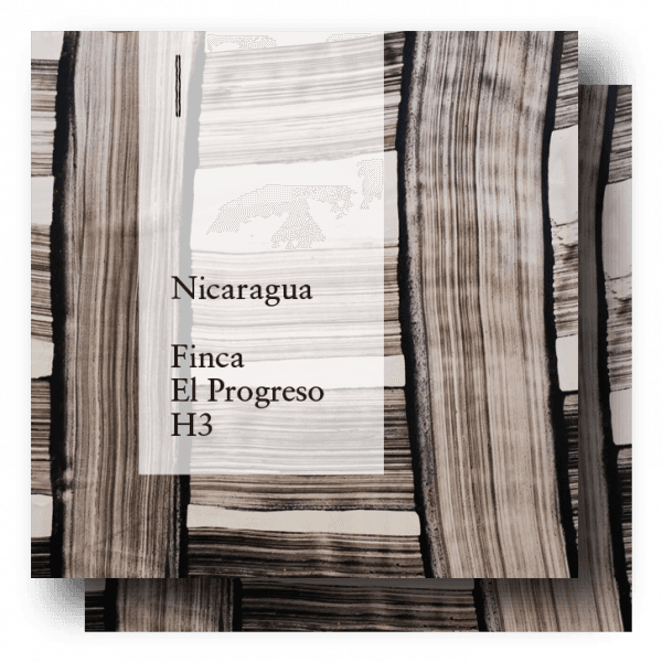 Image of Nicaragua Finca El Progreso H3 400g 200g x 2