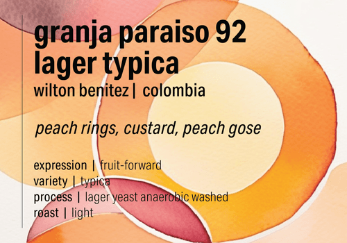 Image of Granja Paraiso 92 - Lager Typica - Colombia