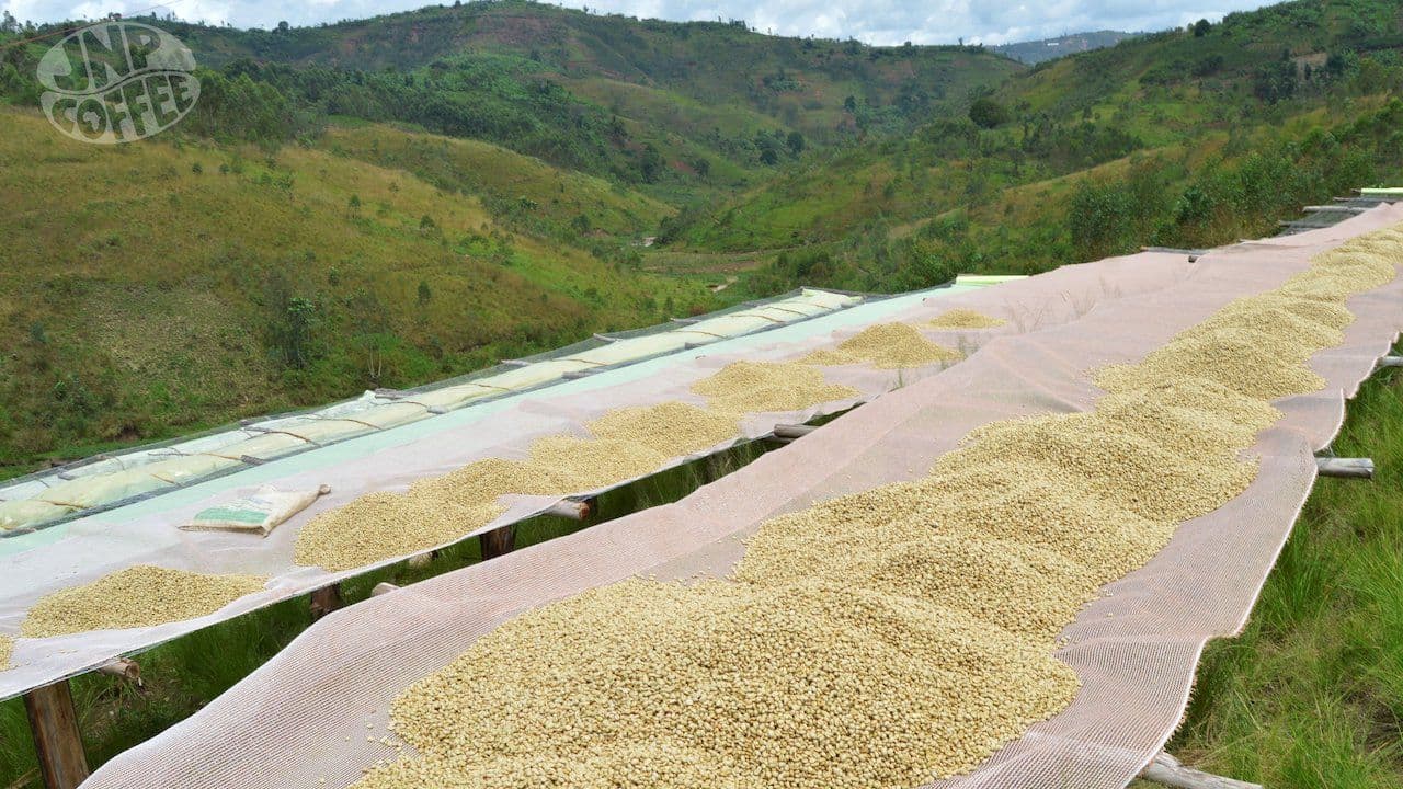 Image of Burundi Ngozi Turihamwe