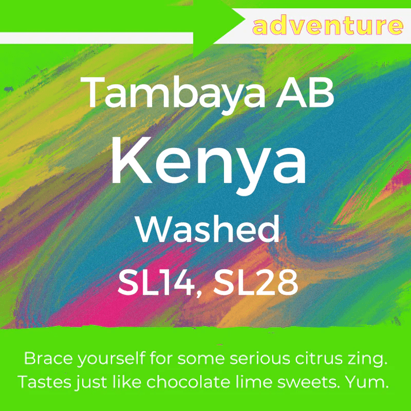 Image of Tambaya AB - Kenya