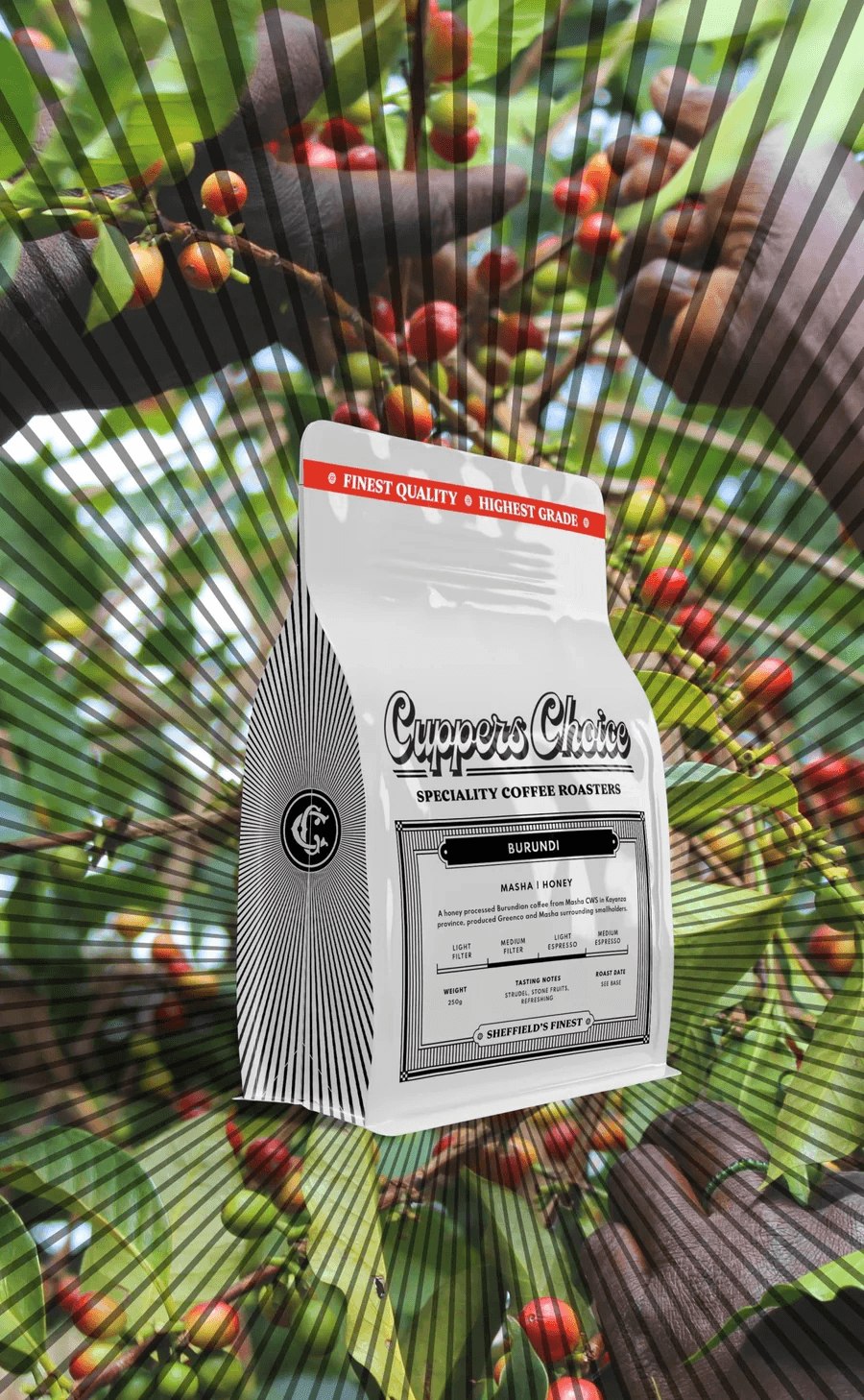 Image of Masha - Honey - Burundi