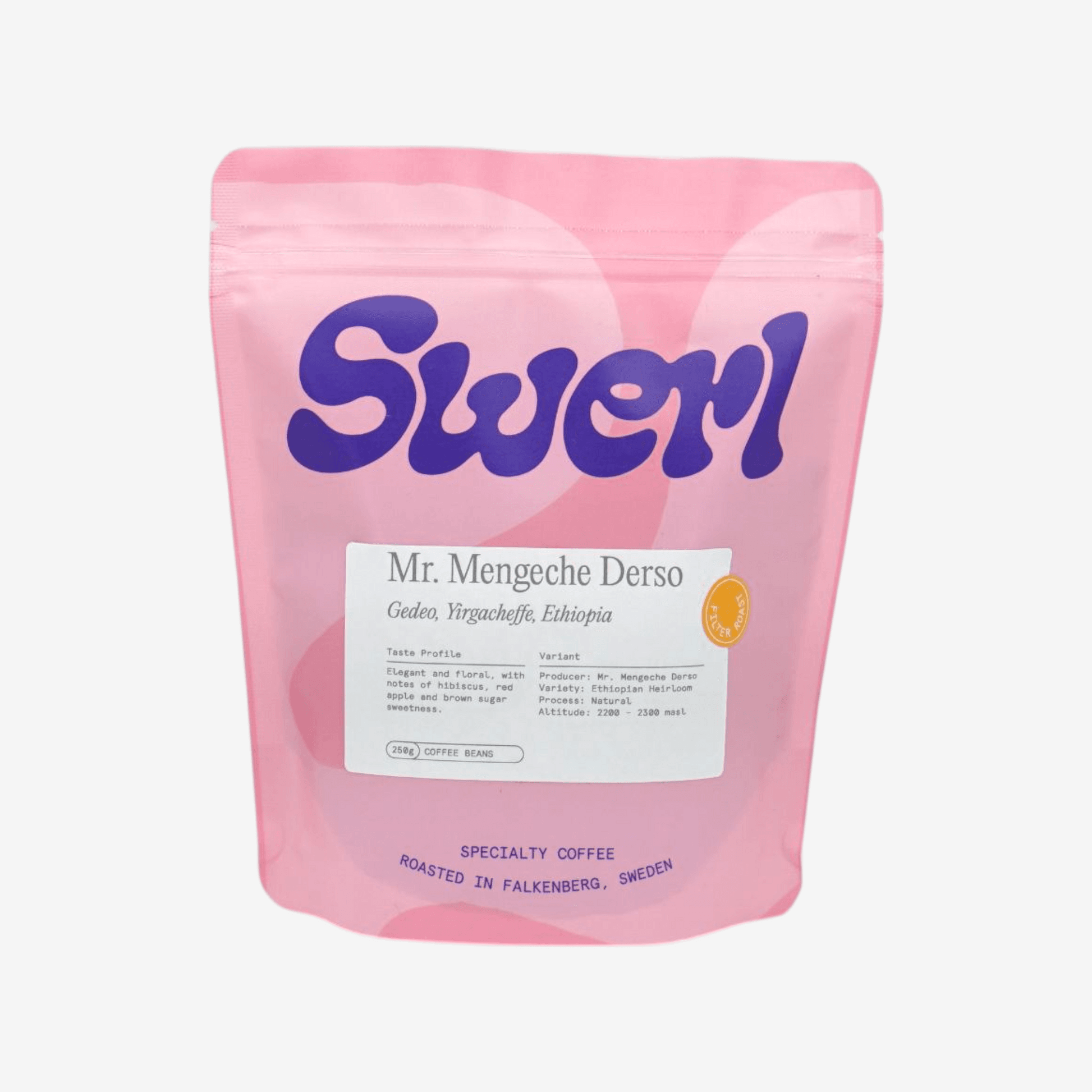 Image of Mr Mengeche Derso Ethiopia