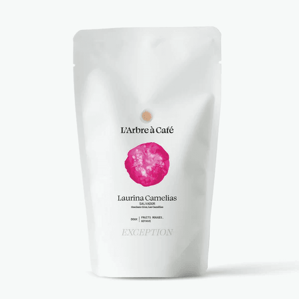 Image of Laurina Camelias Salvador