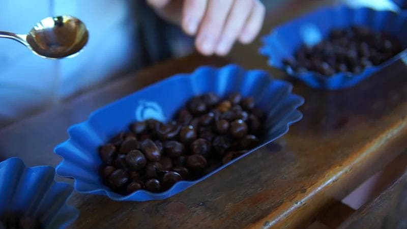 Image of 36 Costa Rica