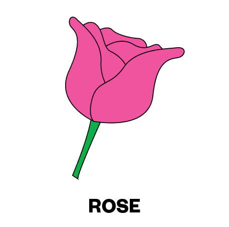 Image of Colombia Campo Hermoso Pink Bourbon