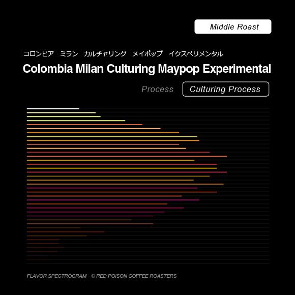 Image of Milan Culturing Maypop Experimental