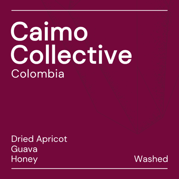 Image of Caimo Collective