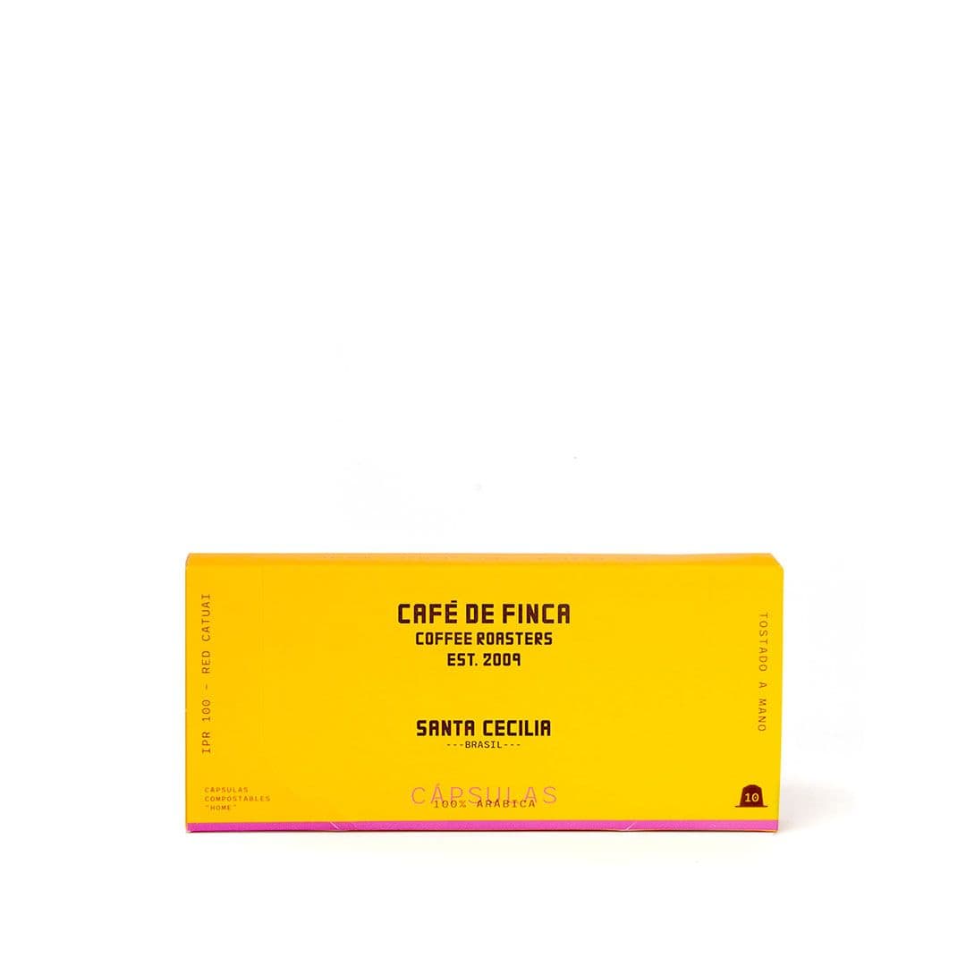 Image of Santa Cecilia