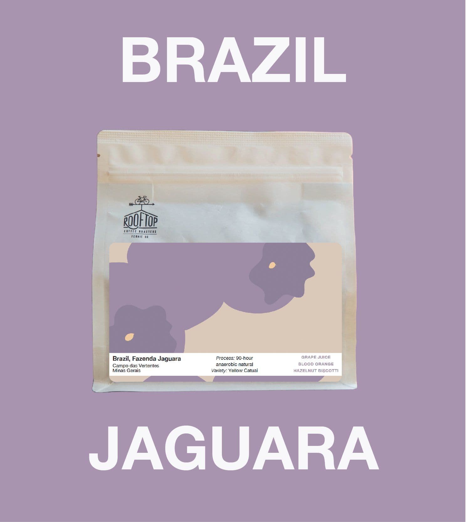 Image of Brazil Fazenda Jaguara