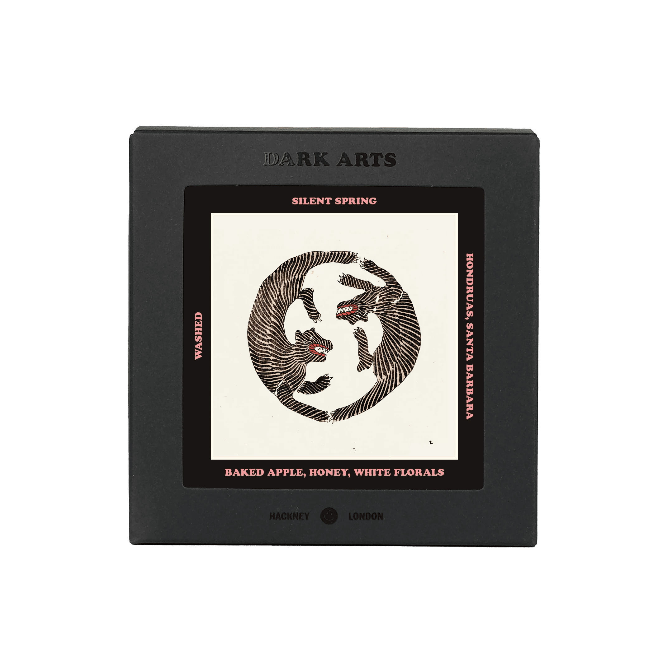 Image of Silent Spring - Honduras