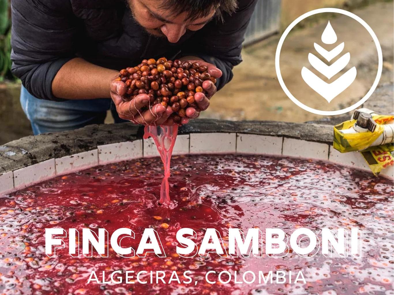 Image of Finca Samboni