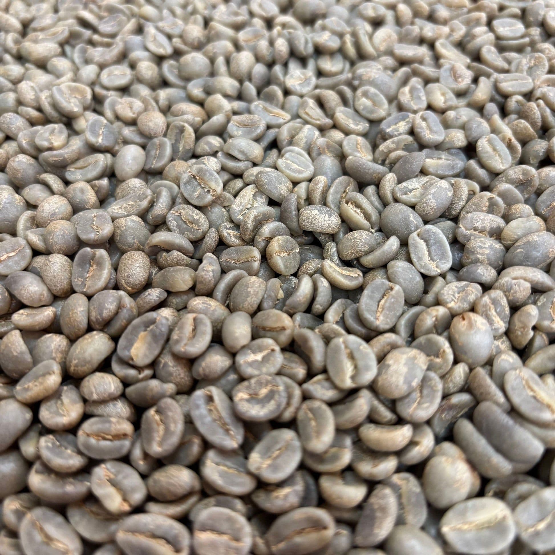 Image of COE Honduras 10 Las Acacias Washed Pacas Green