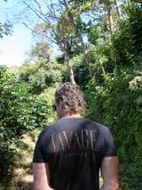 Image of Finca Deborah Illumination Geisha Carbonic Maceration Washed