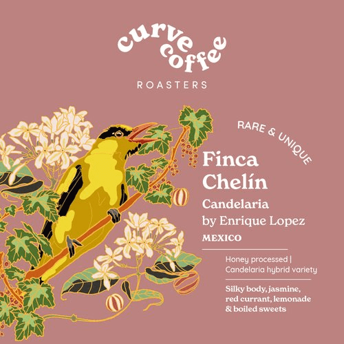 Image of Rare and Unique Series Candelaria Variety Finca Chelin Mexico