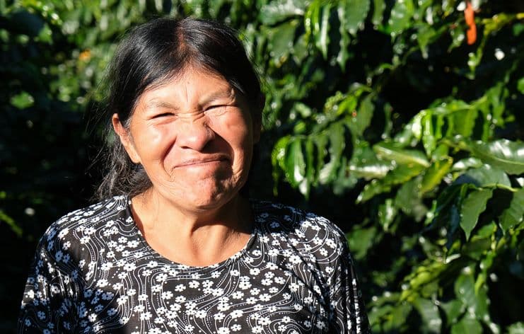 Image of Finca de Lucia Mamani