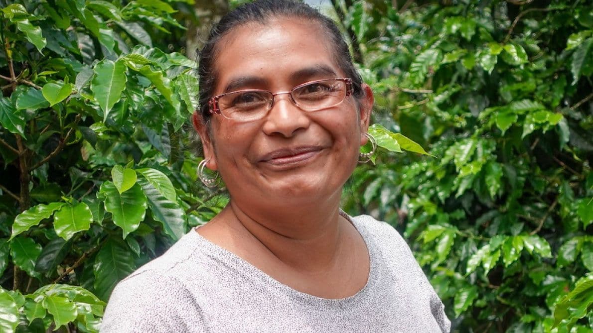 Image of Guatemala Todos Santos Ella