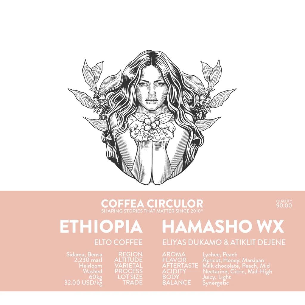 Image of ETHIOPIA Elto Hamasho Washed WX