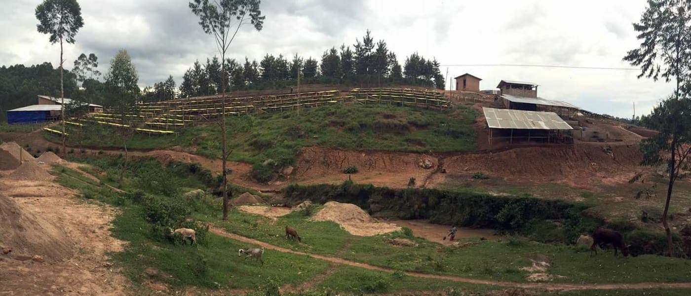 Image of Burundi Mbrizi  Lot 4