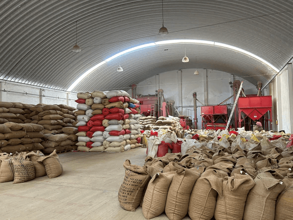 Image of San Marcial Ozolotepec - Oaxaca - Lavado