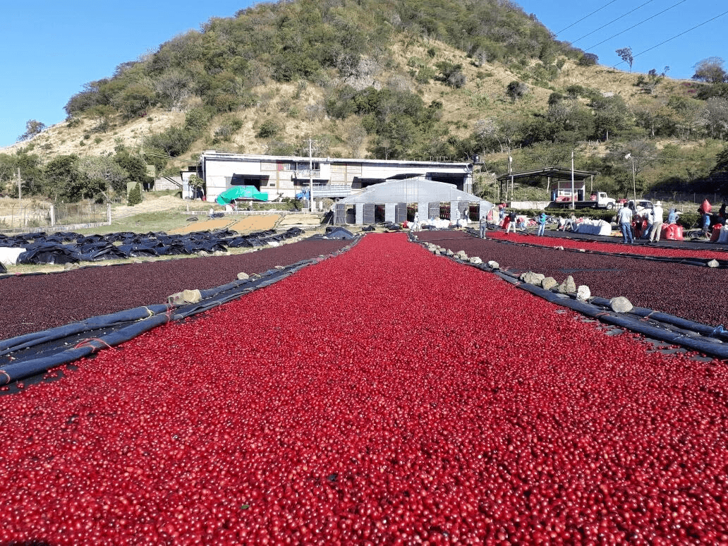Image of Nicaragua La Escondida
