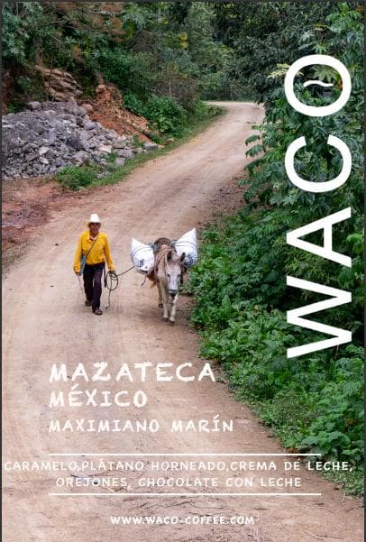 Image of Mazateca