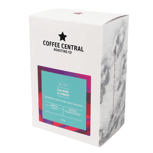 Image of Colombia La Cabana 200 Hour Anaerobic