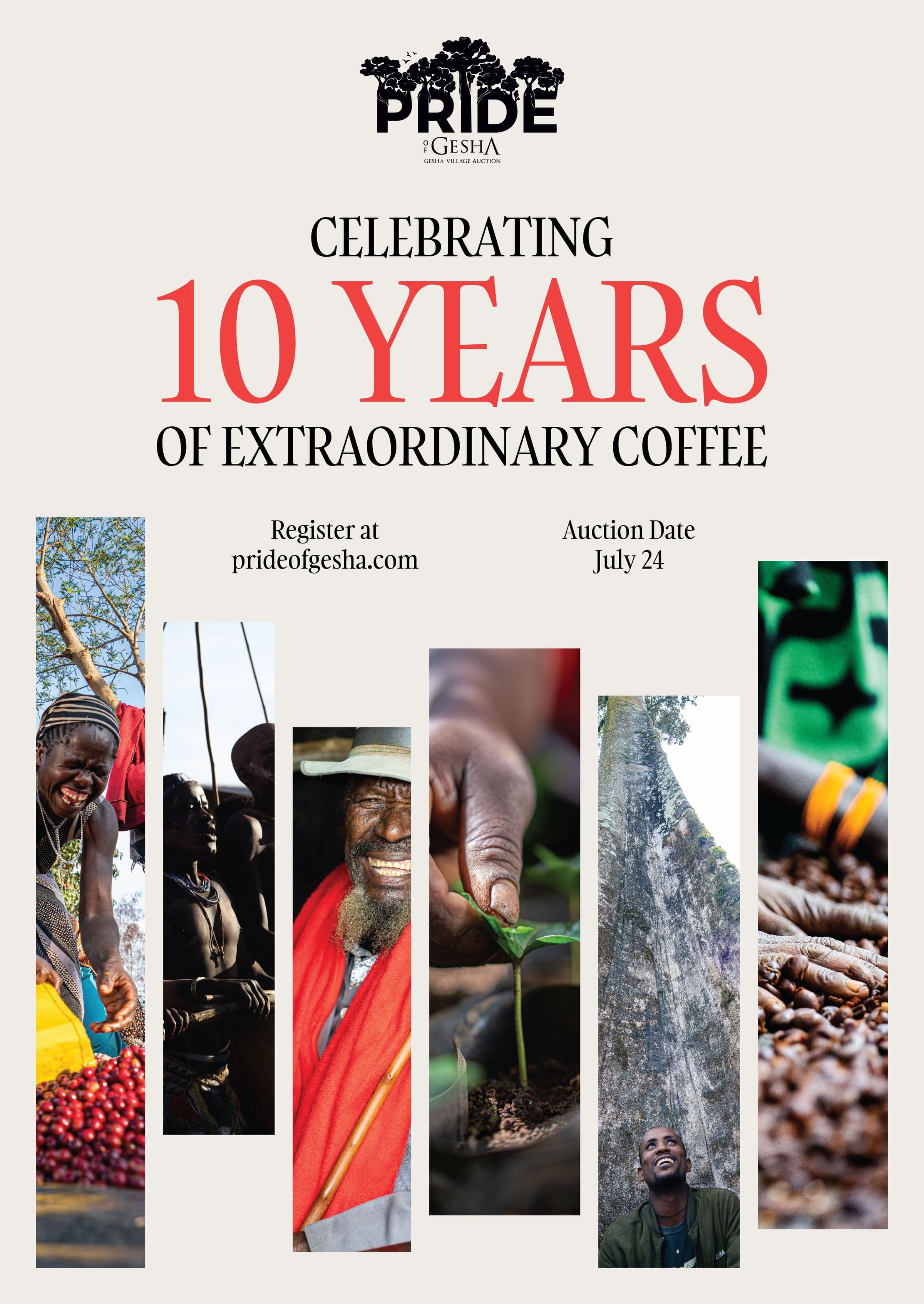 Image of Gesha Village Banggi Gori Natural GVA 7