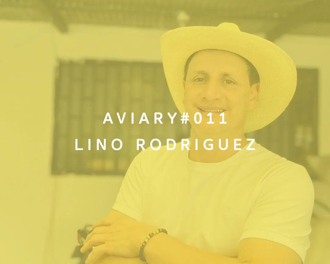 Image of 011 - Lino Rodriguez