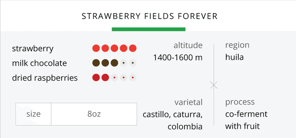 Image of Strawberry Fields Forever | Limited Release