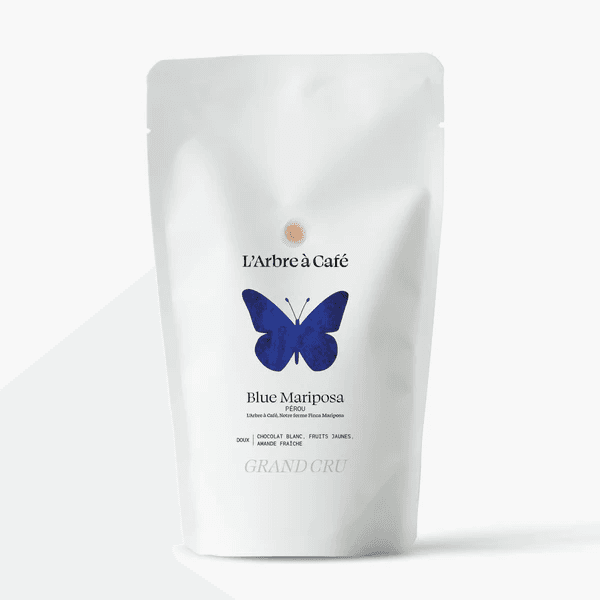 Image of Blue Mariposa Peru