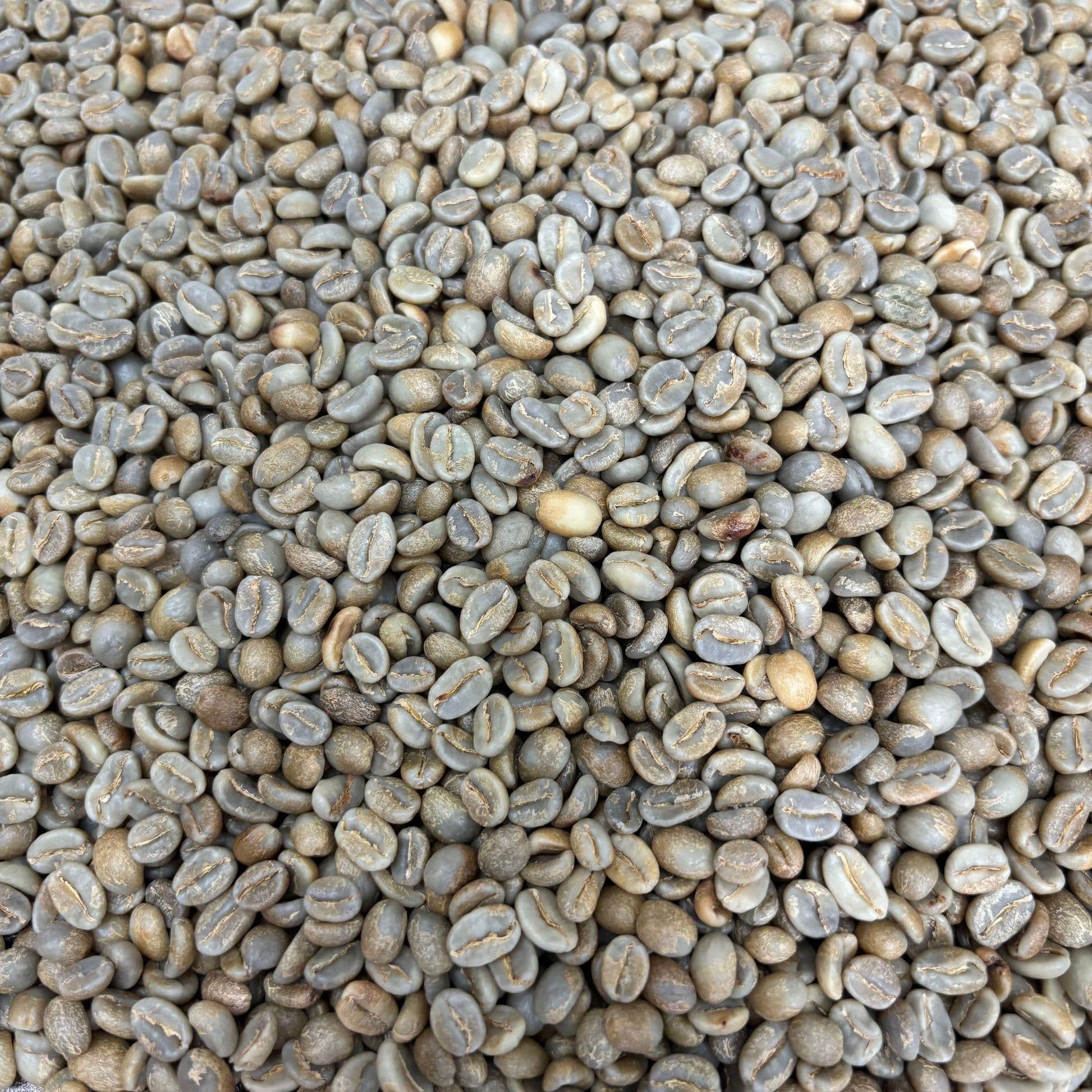 Image of Aponte Honey - Colombia Honey - Green