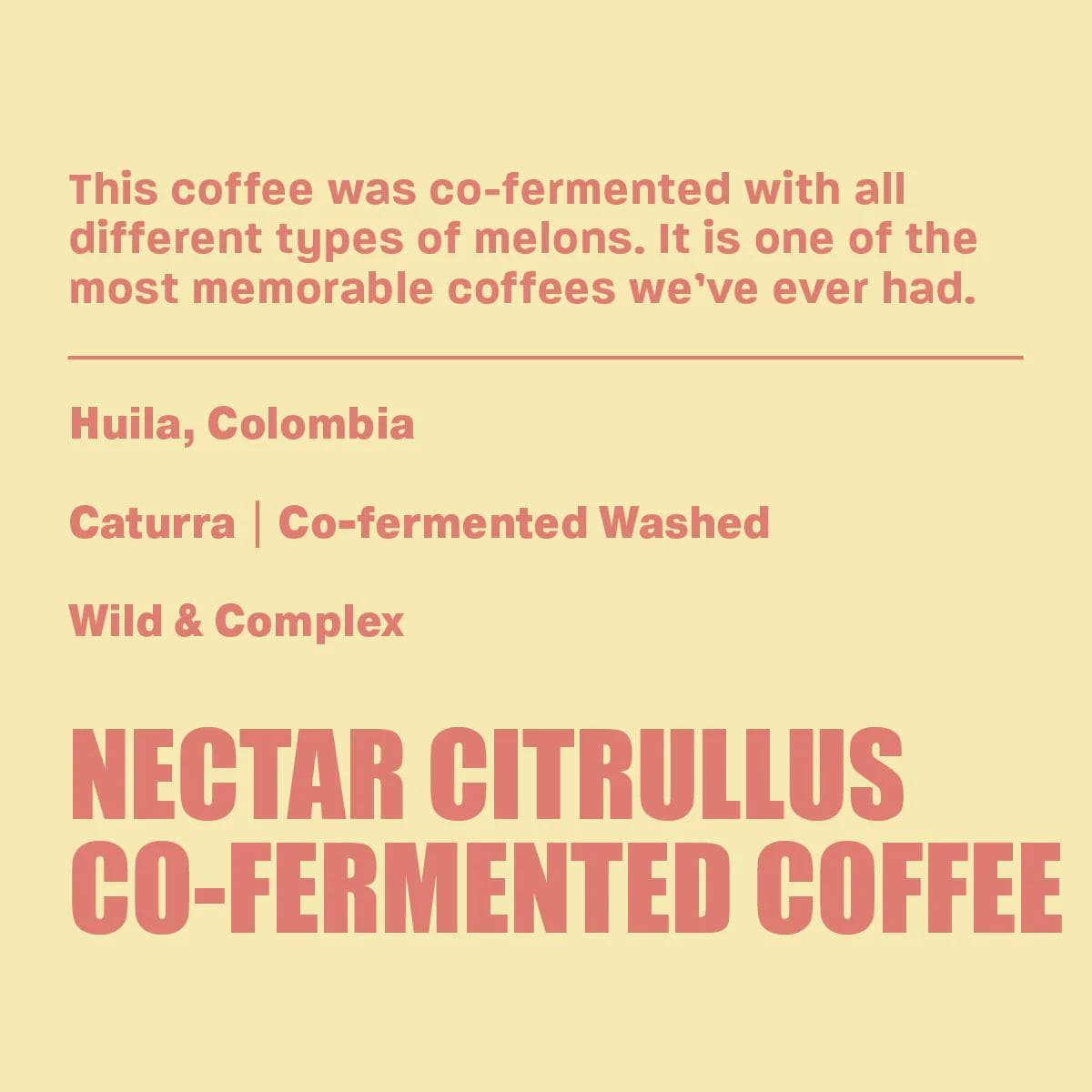 Image of Nectar Citrullus Co-Ferment