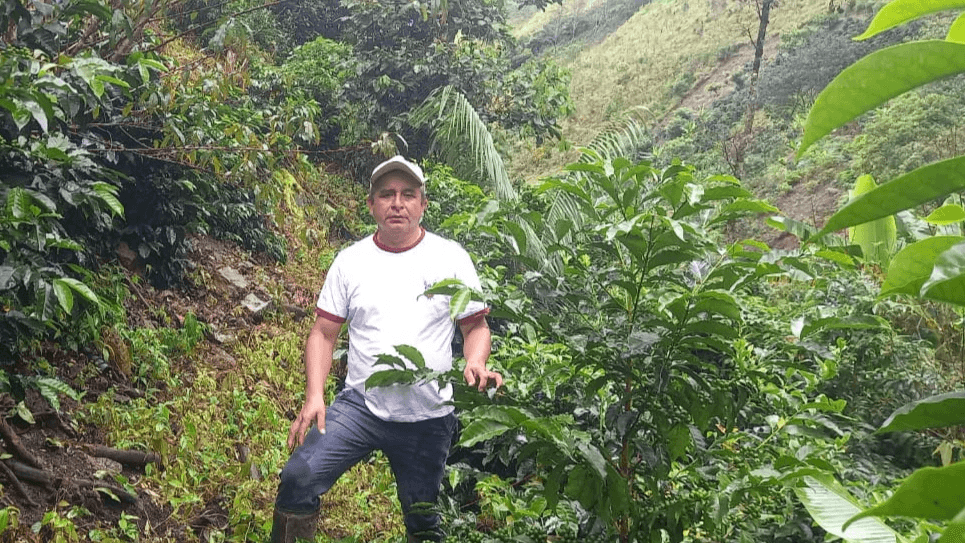 Image of Floresmilo Ojeda - La Ponderosa