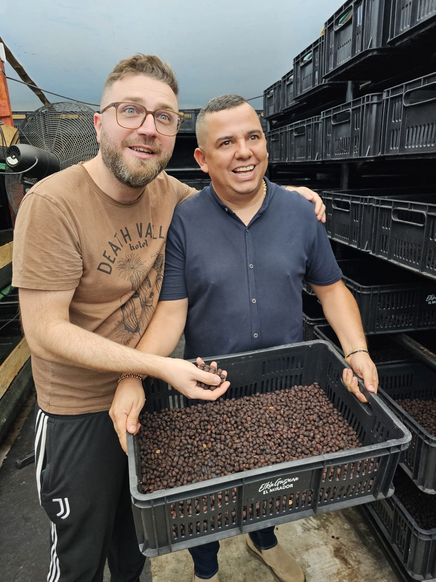 Image of Gesha El Mirador Colombia Huila