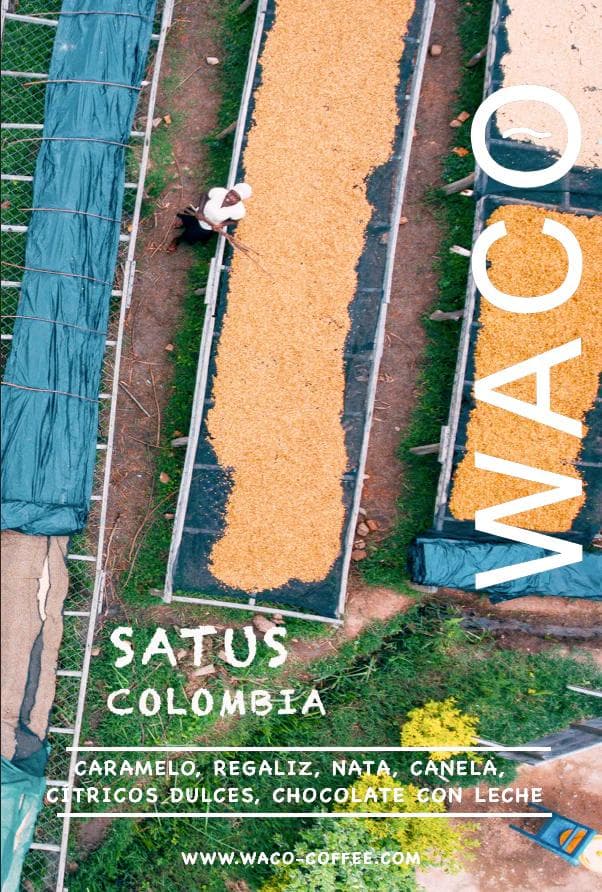 Image of Satus Colombia